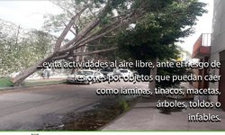 Atento Gobierno ante ráfagas de viento en zona metropolitana