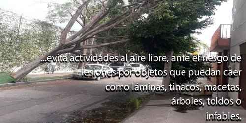 Atento Gobierno ante ráfagas de viento en zona metropolitana