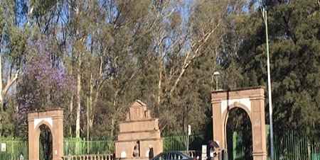 Fuertes vientos en la zona metropolitana causan caída de árboles, espectaculares y cables