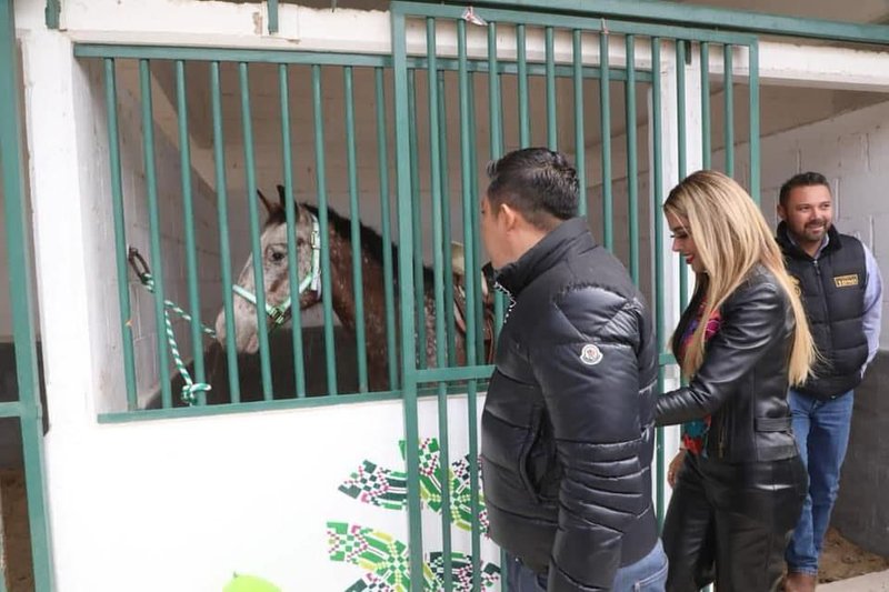 gallardo_ruth_gonzalez_equinoterapia_mirioverde.jpeg