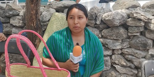 Creatividad en palma: Hermelinda innova con diseños de nopales y pitayas en petates tradicionales
