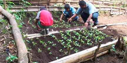 Exhortan a crear huertos familiares