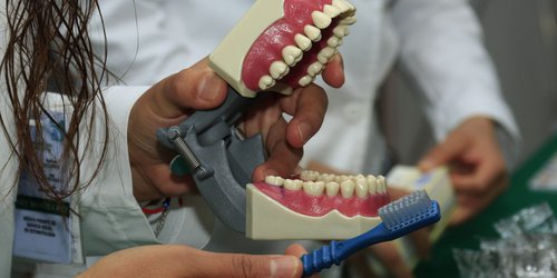 Advierte los servicios de salud que una mala salud bucal repercute en el sistema cardiovascular