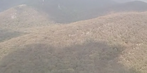 Reportan control del 80 por ciento de incendio en Cd. del Maíz