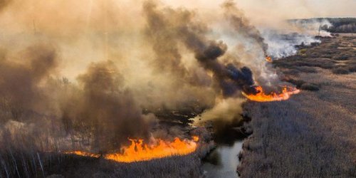 Ucrania: incendio en la zona de exclusión de Chernóbil multiplica la radiación 16 veces
