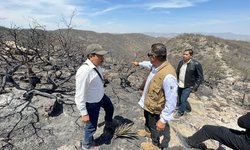 Controlado incendio en Sierra de San Miguelito