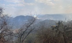 Autoridades de los tres niveles de Gobierno mantienen combate de incendio forestal