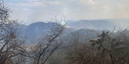 Autoridades de los tres niveles de Gobierno mantienen combate de incendio forestal