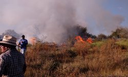 Incendio cerca del manantial Los Perales, puso en riesgo sabinos milenarios