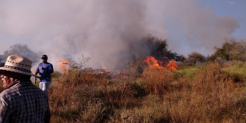 Incendio cerca del manantial Los Perales, puso en riesgo sabinos milenarios