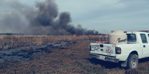 Controlan incendio de pastizal cerca de la M. Luna