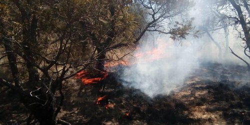 Sofocan incendios en Soledad y Cerro de San Pedro