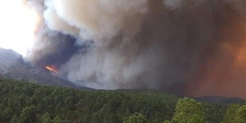 Continúa combate para atender incendios en la Huasteca y Altiplano