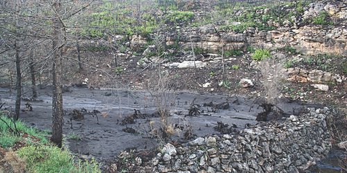 Lluvias generan humedad y reducen riesgo de incendios