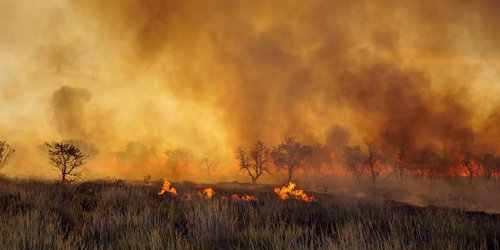 México presenta las peores temporadas de incendios forestales en años