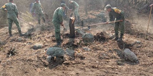 Liquidados al 100% incendios registrados en el Estado: CEPC