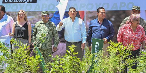 Con un millón de árboles, inicia reforestación de SLP