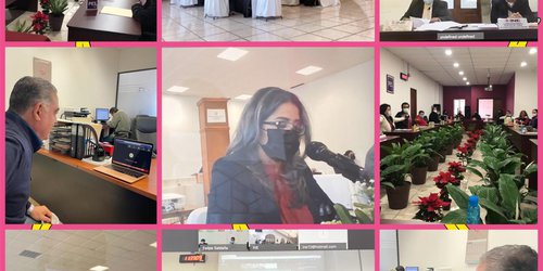 Instalados los siete consejos distritales del INE SLP