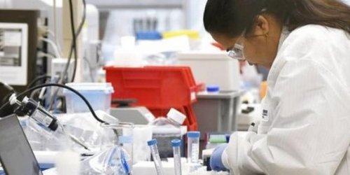 Coronavirus: hallaron anticuerpos que evitan que la enfermedad se propague por el organismo