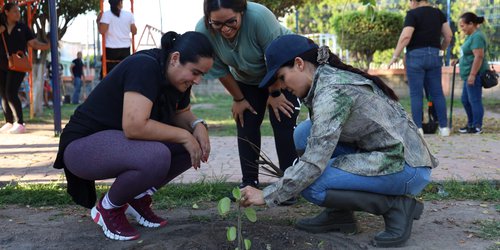 Reforestan el jardín de Jacarandas, por SMDIF Rioverde