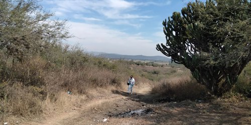 Matan a balazos a un hombre en ejido San Martín