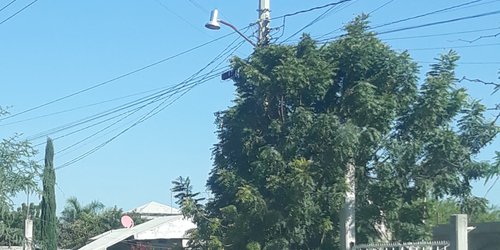 Roban cerca de 20 luminarias en el ejido Llanitos