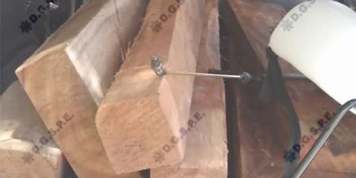 Detienen a mujer que transportaba madera ilegal