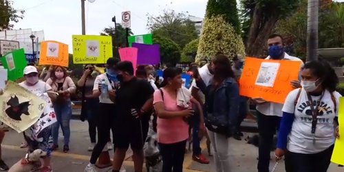 Maltrato animal al Código Penal, exigen en marcha en favor de los animales