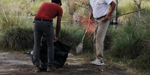 Siembran sabinos y limpian de basura el manantial Los Peroles