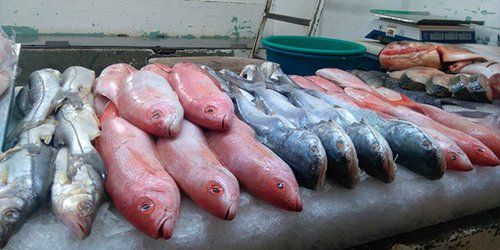 Iniciará operativo Cuaresma la próxima semana en el estado