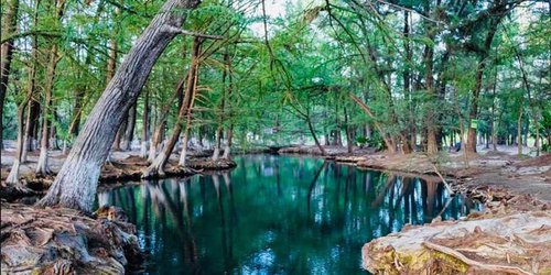 Reabren parajes turísticos de Rioverde al 50 por ciento de su aforo