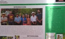 Estudiantes de la Universidad de Querétaro investigan sobre medicina tradicional indígena