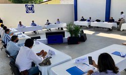 Proceso interno PAN, Morena y comisionados, PVEM ya tiene dirigente