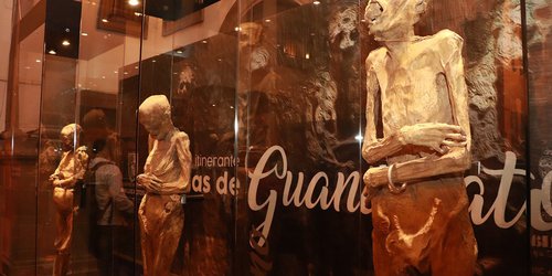 Exposición de Momias de Guanajuato rompió récord de asistencia en SLP