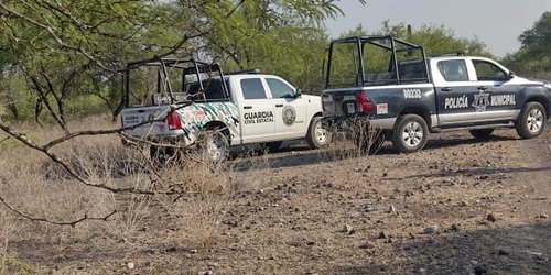 Huesos de vaca movilizan a la policía: pensaban que eran de humano