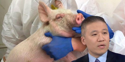 Es prematuro asegurar que gripe porcina se convertirá en pandemia: Eric Feigl-Ding