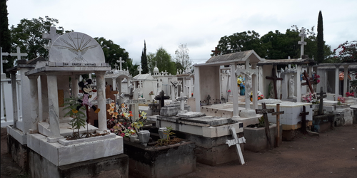 Covid y Ejecuciones elevan estadística de muerte en julio y septiembre