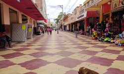 Colocarán "Estrellas de la fama" en calle del Comercio