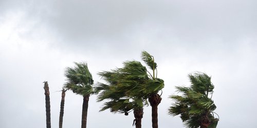 Tormenta tropical 'Nicholas' avanza a Texas con posibilidad de fortalecerse como huracán