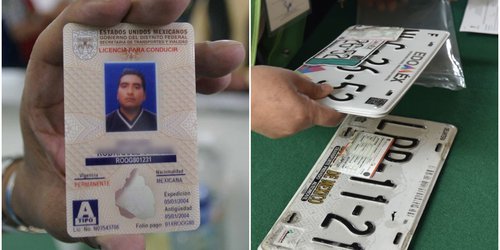 Oficialía Mayor licita más placas y licencias gratuitas