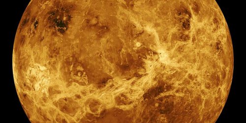Hallan indicios de vida en Venus