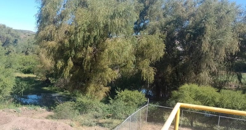 planta_tratadora_descuidados.jpeg
