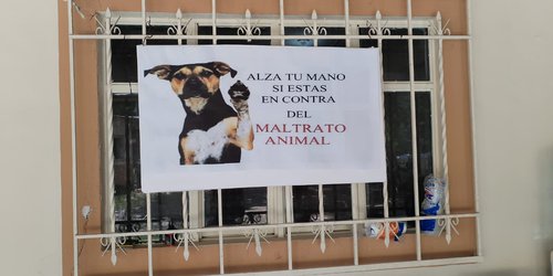 Plática para evitar maltrato animal realizó DIF Lagunillas
