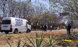 61 políticos asesinados durante el proceso electoral en México