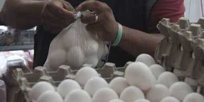 Esperan incrementos al precio del huevo en temporada invernal