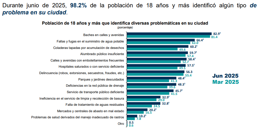 problematica social..png