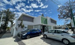 ¿Problemas con el SAT? Prodecon te ayuda