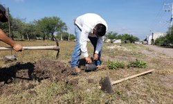 Más de tres mil árboles han sido reforestados en Ciudad Fernández