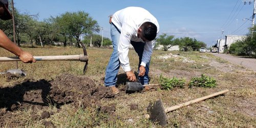 Más de tres mil árboles han sido reforestados en Ciudad Fernández