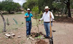 Más de 80 árboles plantados en CDFDZ con campañas de reforestación